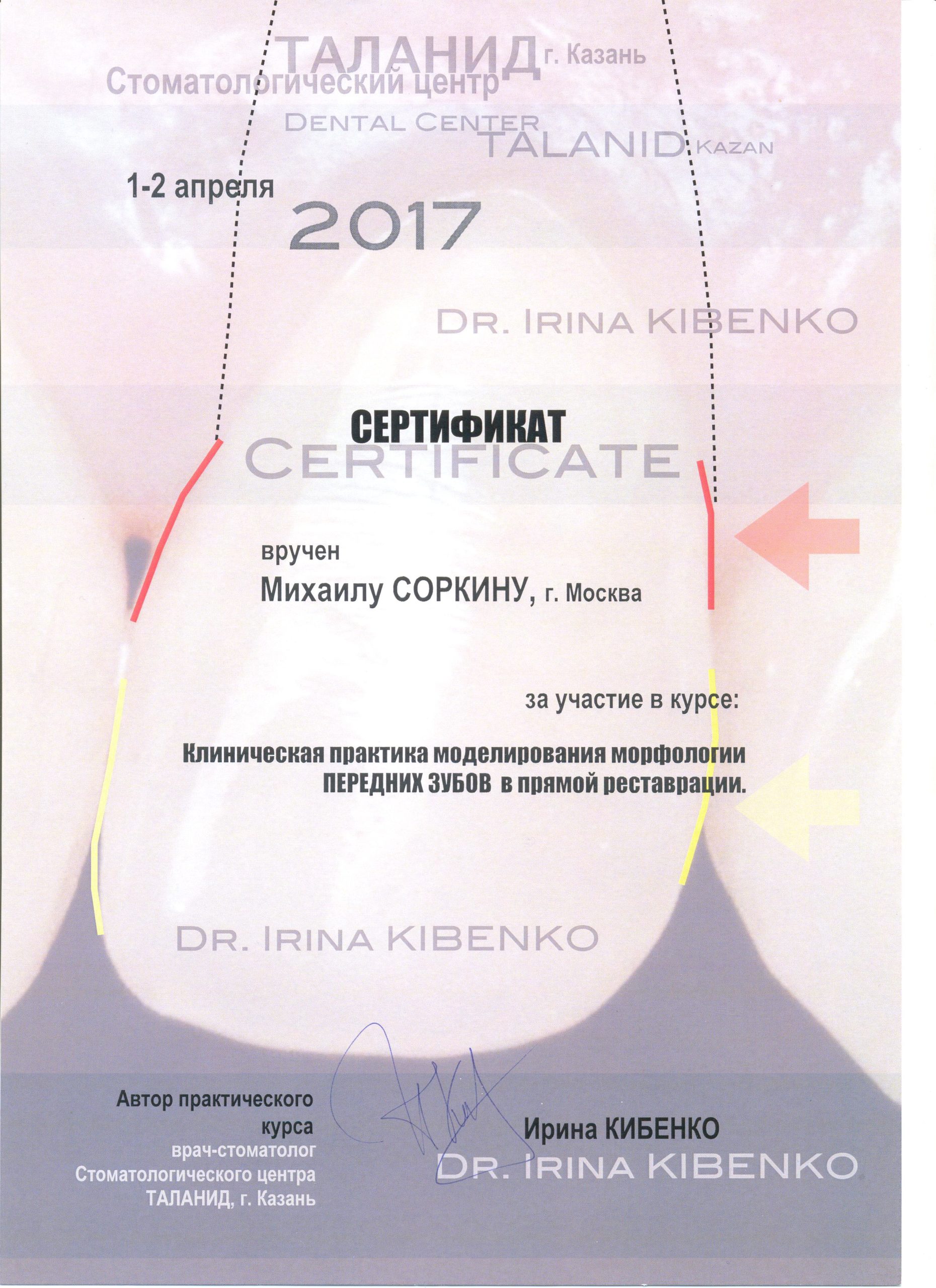 сертификат стоматолога по курсам Соркин 2017